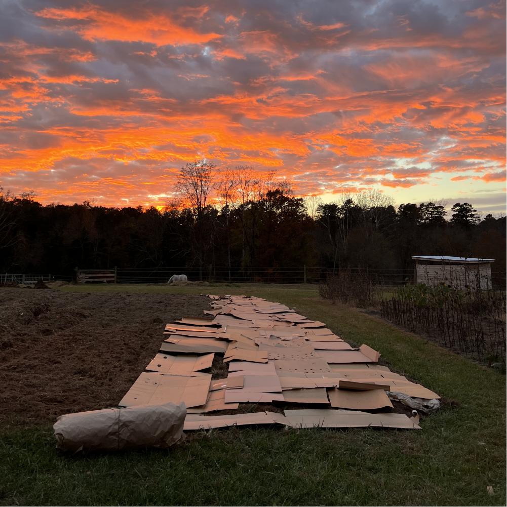 Winter's a Planner's Dream