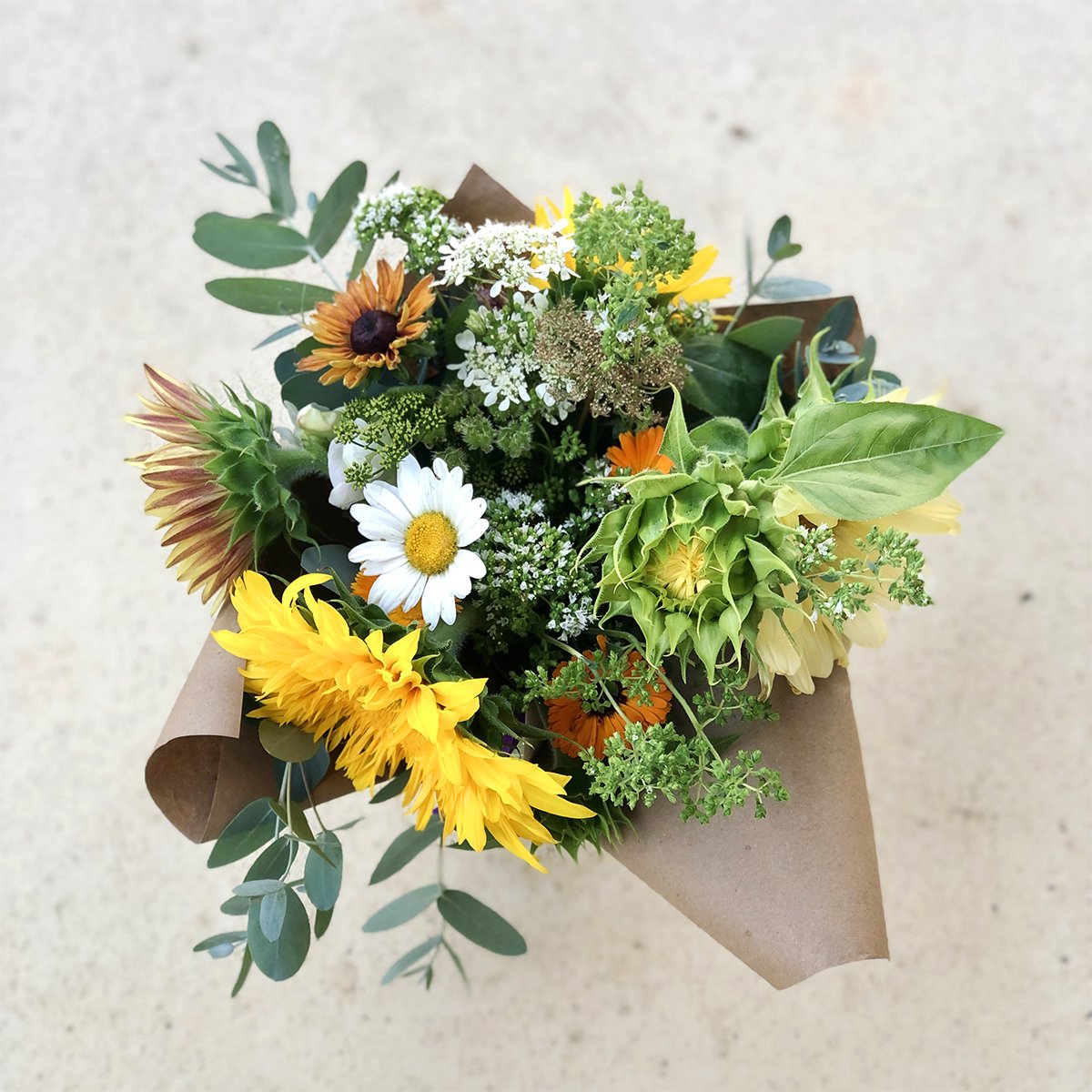 Greensboro, NC | Our locally-grown, pesticide-free summer flowers are finally here! Everything is either blooming or ready to pop this month – sunflowers in shades of plum, cream yellow, dark red, and radiant gold, lisianthus that are soft like roses, the always-a-hit zinnias, the ever cheerful daisies, and a range of herb and edible flowers like calendulas, oregano, and basil.   We can't be more excited to share with you that broad range of summer flowers, and labor of our garden love!