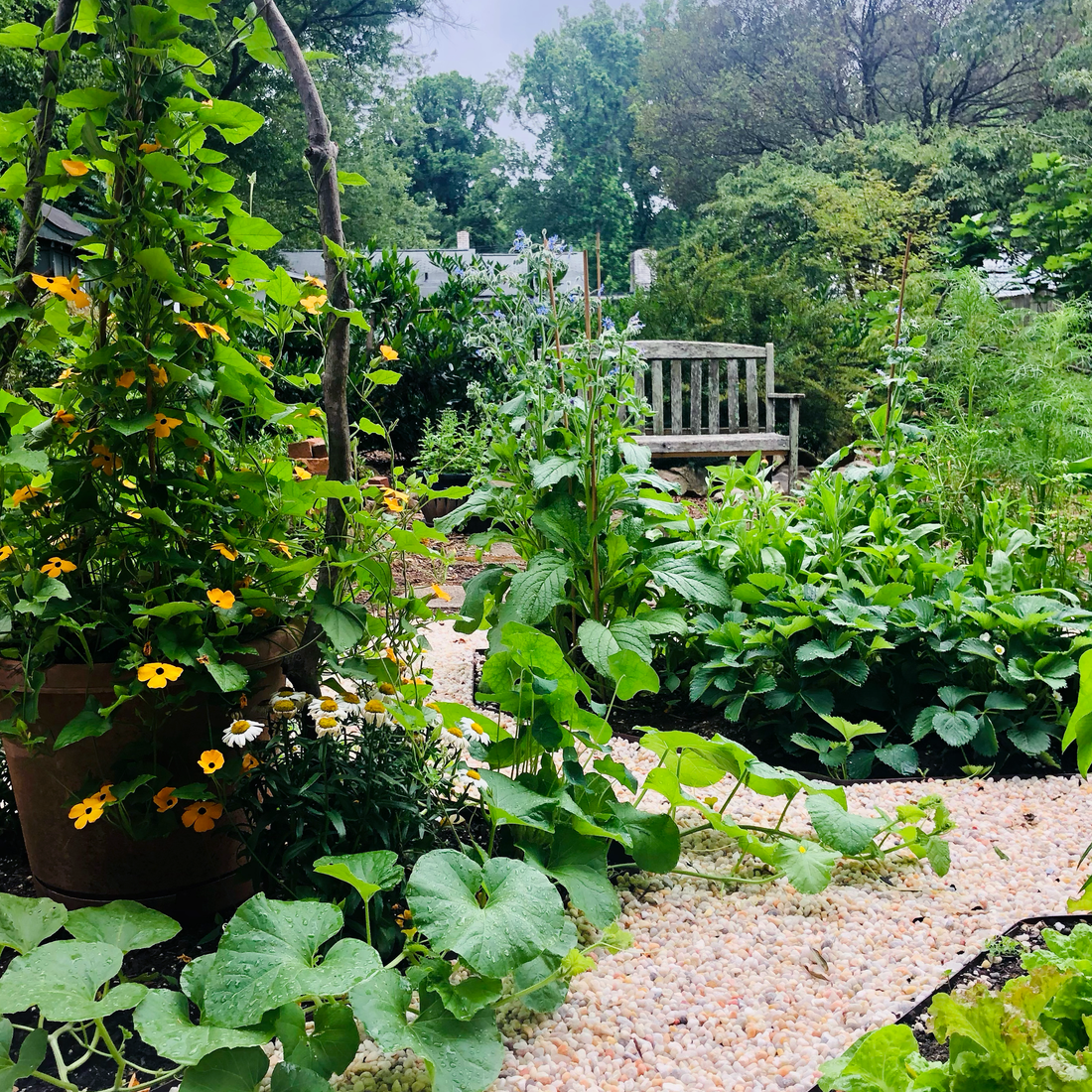 Part I: Designing Your Own Potager or Cutting Garden, be it a Windowsill, a Balcony, or a Yard