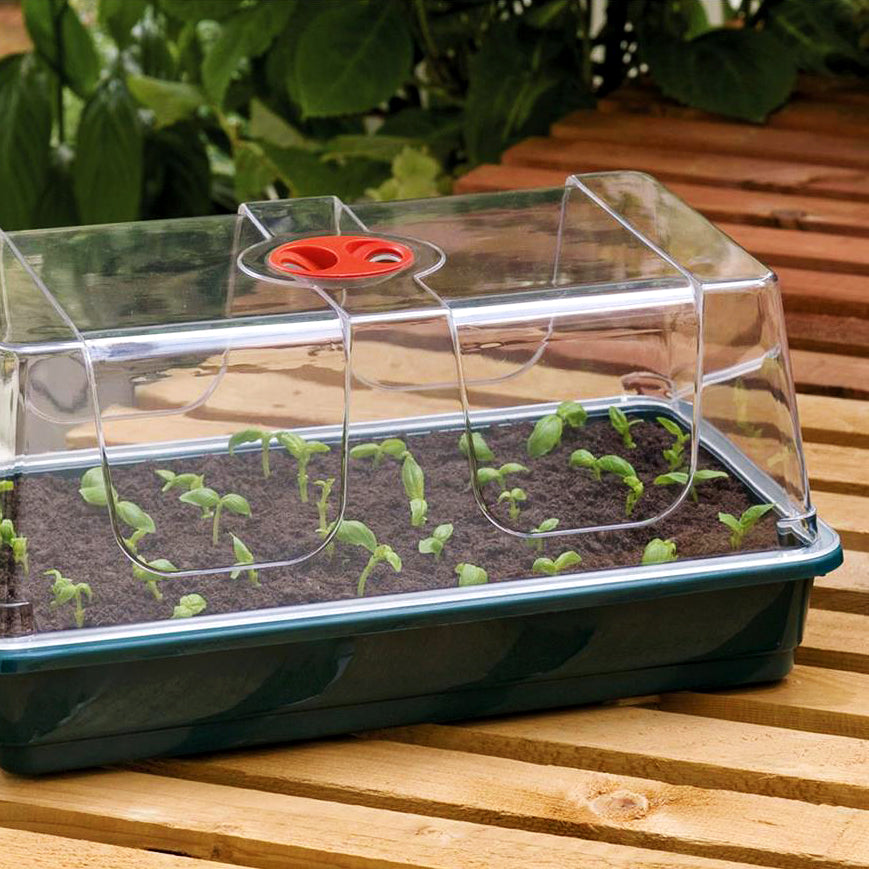 Reusable Seed Tray with 2-Tier Drainage Holes | Recycled Plastic | Made in UK (as Seen in Gardener's World)